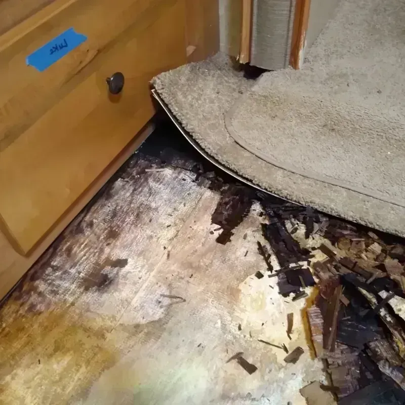 Wood Floor Water Damage in Pike County, OH